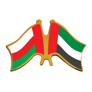 Two Flag Pin Badges - Image 2